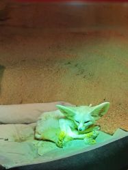 -酷嗒动物文化乐园(cutezoo西溪乐天城店)