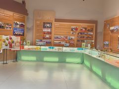 -房山世界地质公园博物馆