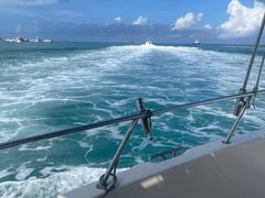 -小猫钓鱼海钓俱乐部(椰梦长廊店)