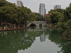 -八大山人梅湖景区