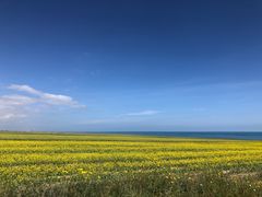 -青海湖国家重点风景名胜区