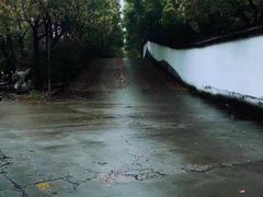 -安飞驰驾校·学车连锁(金高店)