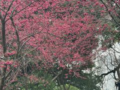 -乌山风景区
