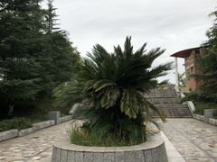 -仙海旅游度假区