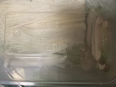-锅圈食汇火锅烧烤食材超市(金田道店)