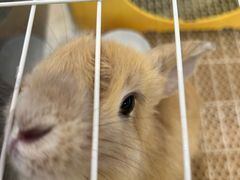 -那红花·东北菜铁锅炖(仙林金鹰店)