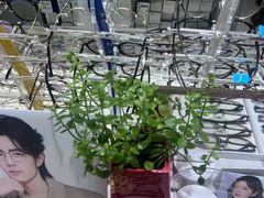 -华彬眼镜专业渐进配镜(潘家园店)