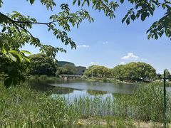 -新江湾城公园