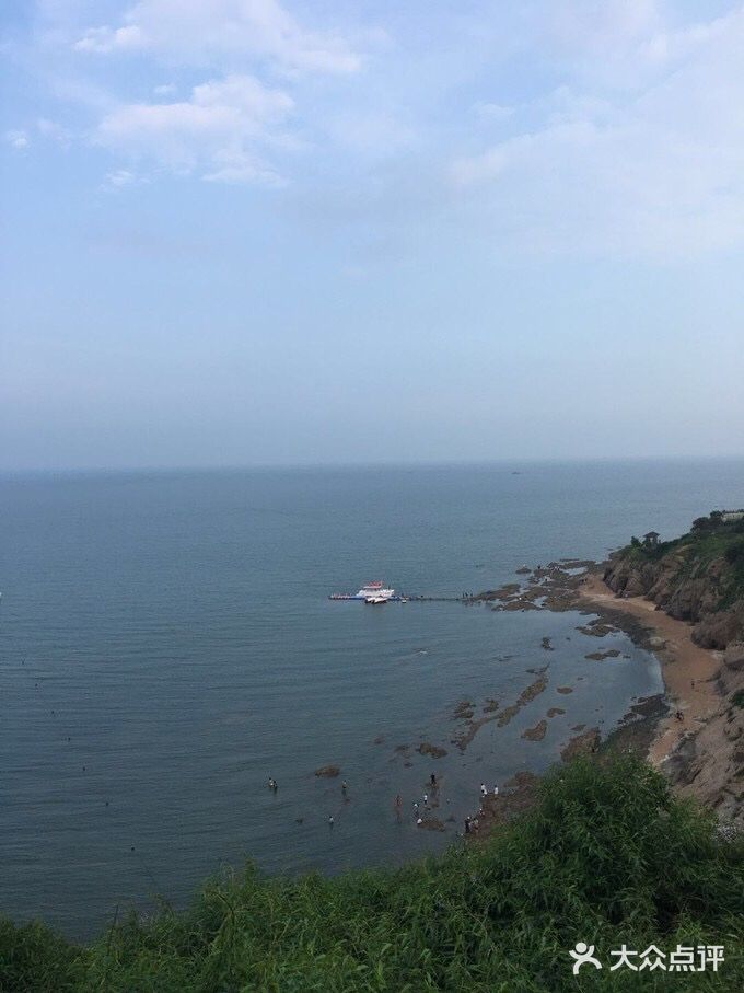如家宠物家庭式寄养训练图片