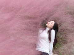 -白鹭湾湿地公园