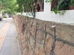 -八大关景区