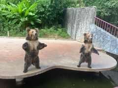 -贵州森林野生动物园