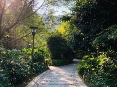 -高榜山景区