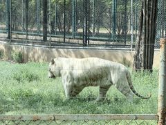 -秦皇岛野生动物园