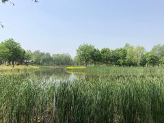 -东郊湿地公园