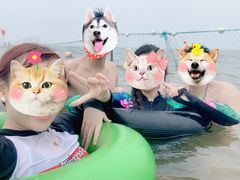 -南戴河国际娱乐中心