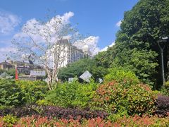-西湖文化广场