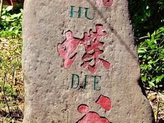 -鼎湖山风景区