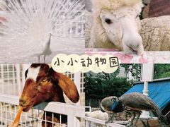 -金庭庄园酒店-停车场