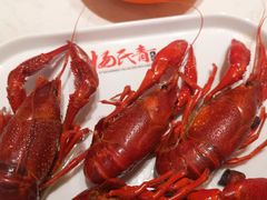 清水龙虾-杨氏青龙虾·羊蝎子(金盛路总店)