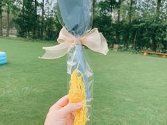 -前小桔亲子创意农场·草莓采摘·露营烧烤