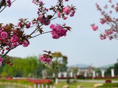 -龙寺生态园