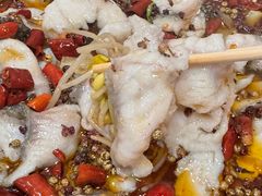 -金三可市井水煮鱼(金碧园店)