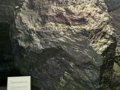 -抚顺煤矿博物馆