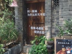 -两棵枇杷树