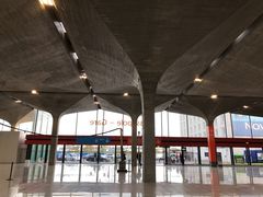 -戴高乐机场火车站