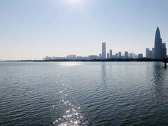 -宝安西湾红树林湿地公园