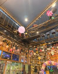 -卡通尼·Safari非洲探索乐园·生日会(金桥国际商业广场店)