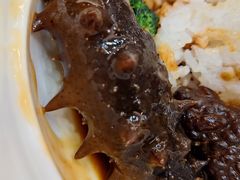 -鲁宴·鲁煨黄河生态大鲤鱼(月坛店)