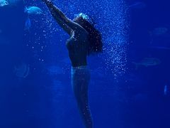 -太平洋海底世界