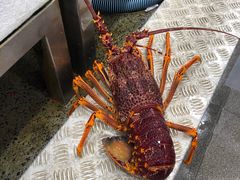 -悉尼鱼市场