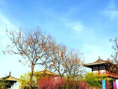 -西安青龙寺遗址景区