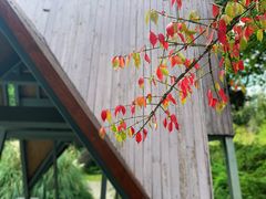 -上海滨江森林公园