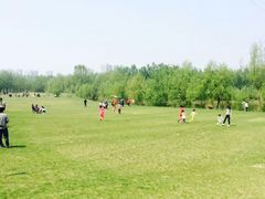 -长白岛森林公园