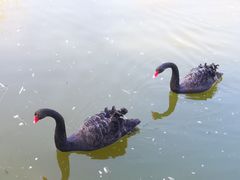 -北京鹿世界主题园