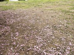-钟山体育运动公园