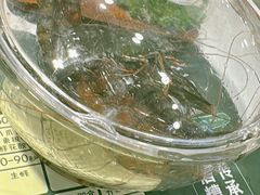 -椰子湾·海南火锅·糟粕醋·椰子鸡(正大广场店)