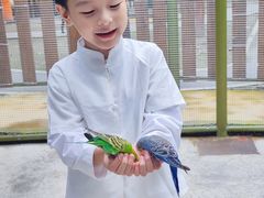 -成都欢乐谷