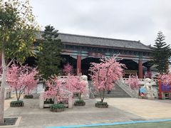 -厦门方特梦幻王国