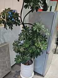 -LJOY丽锦造型·烫发染发