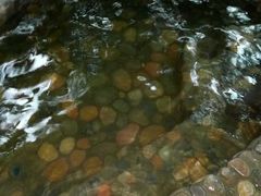 -天门沟九州驿站树上汤泉