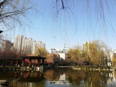 -木塔寺遗址生态公园