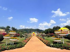 -东南花都花博园