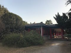 -洛阳古墓博物馆