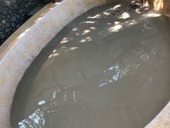 -100蛋泥浆浴