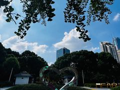 -新虹桥中心花园
